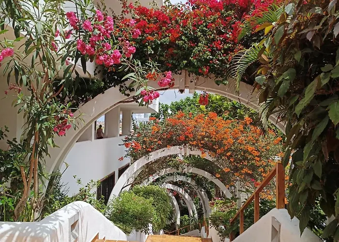 Parque Royal Lejlighed Costa Adeje (Tenerife)